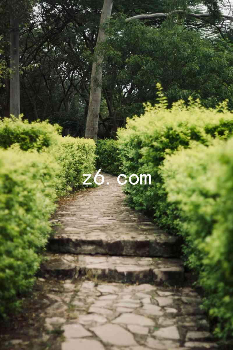 z6.com